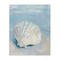 Stupell Industries Coastal Scallop Clam Canvas Wall Art Design by Arlington Prints